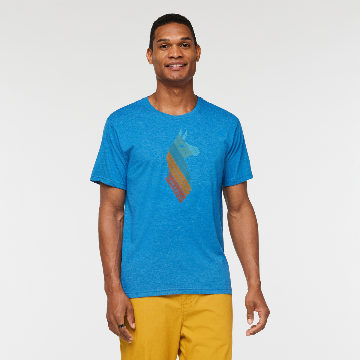 Llama Stripes T Shirt Men's