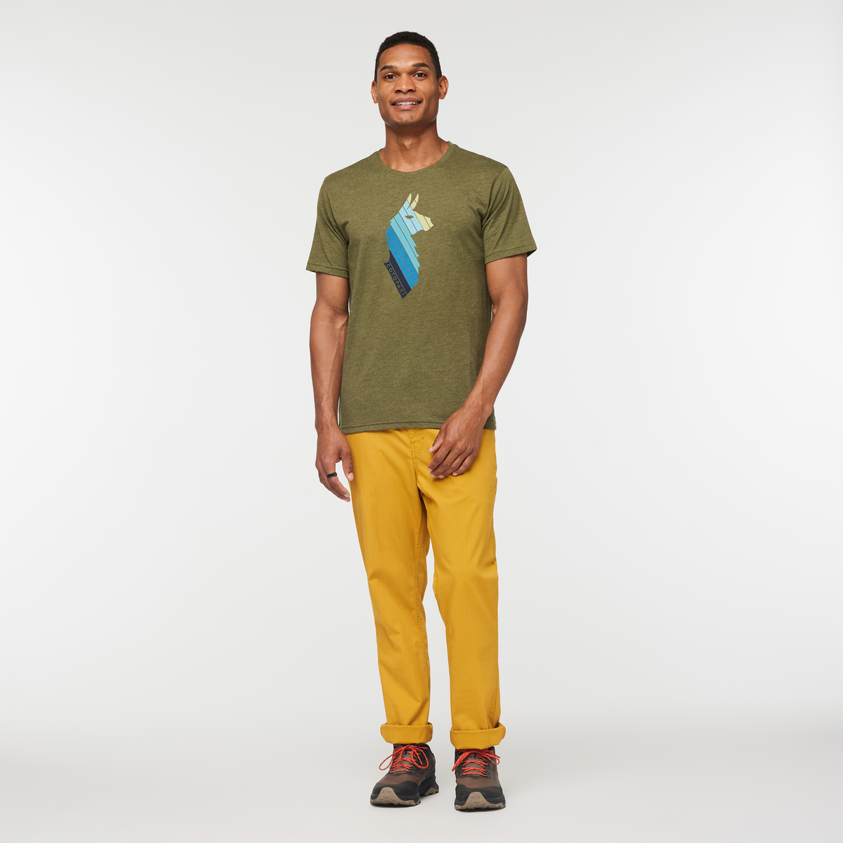 Llama Stripes T Shirt Men's - Image 7