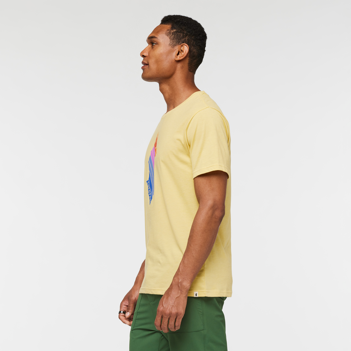 Llama Stripes T Shirt Men's - Image 13