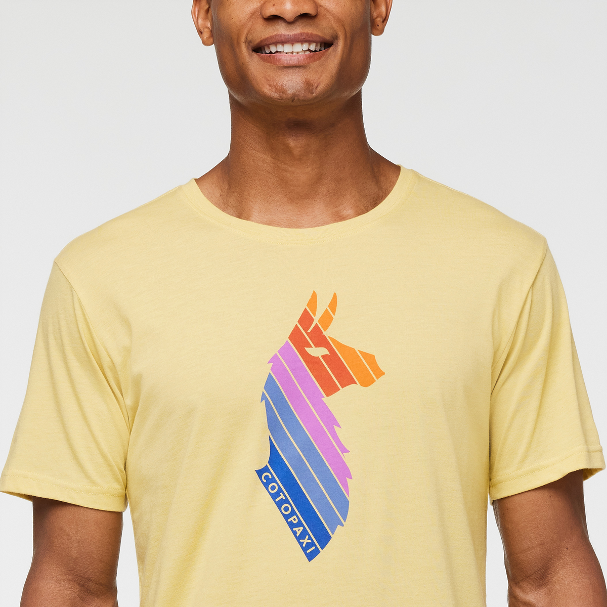 Llama Stripes T Shirt Men's - Image 15