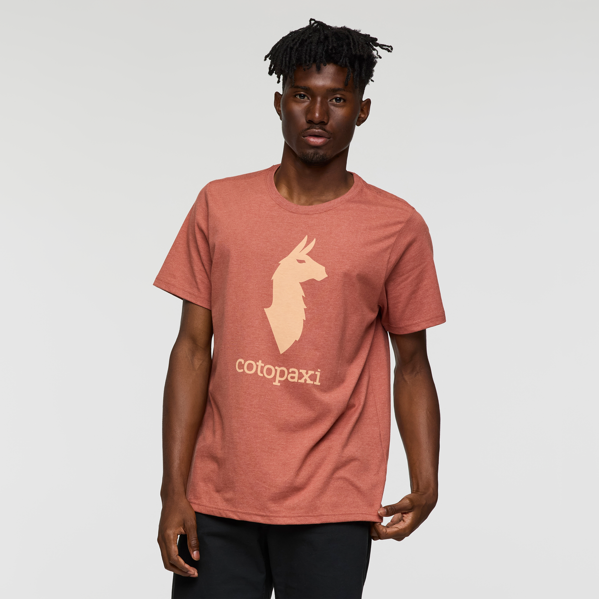 Cotopaxi Llama T Shirt Men's - Image 9