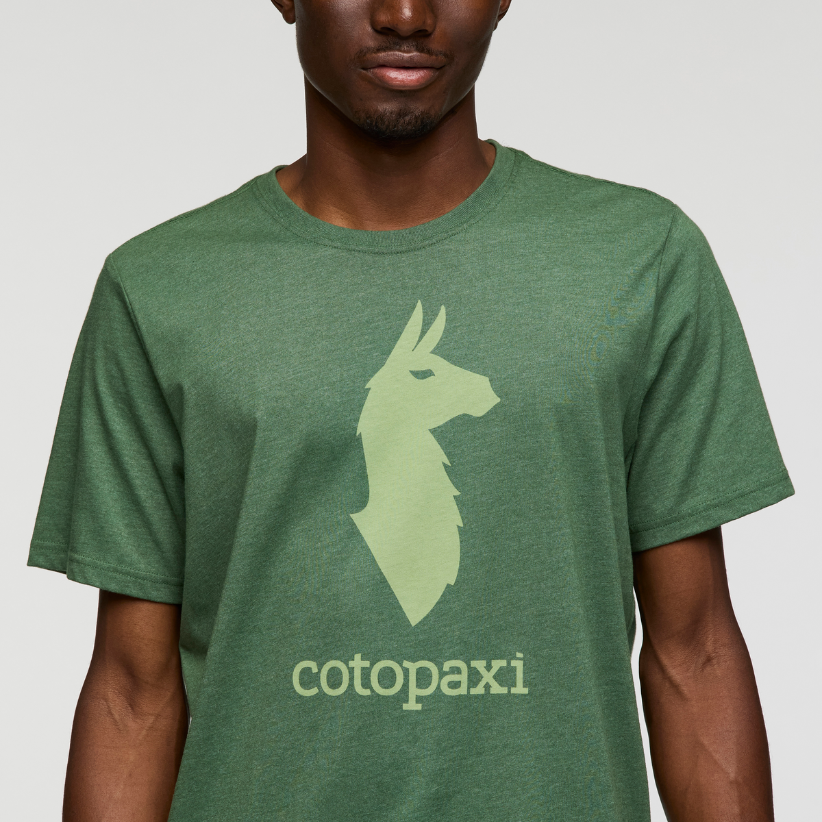 Cotopaxi Llama T Shirt Men's - Image 25