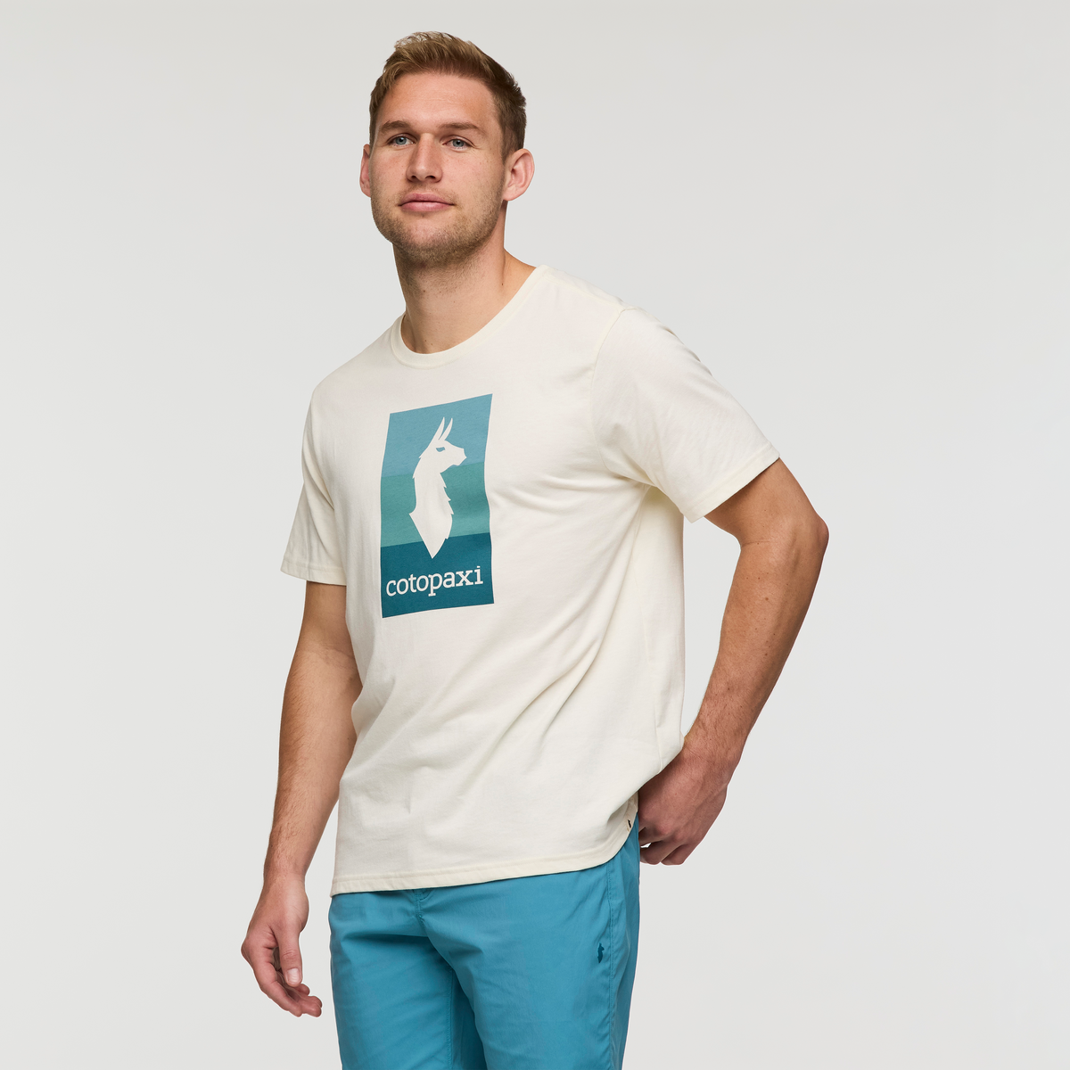 Llama Block T Shirt Men's